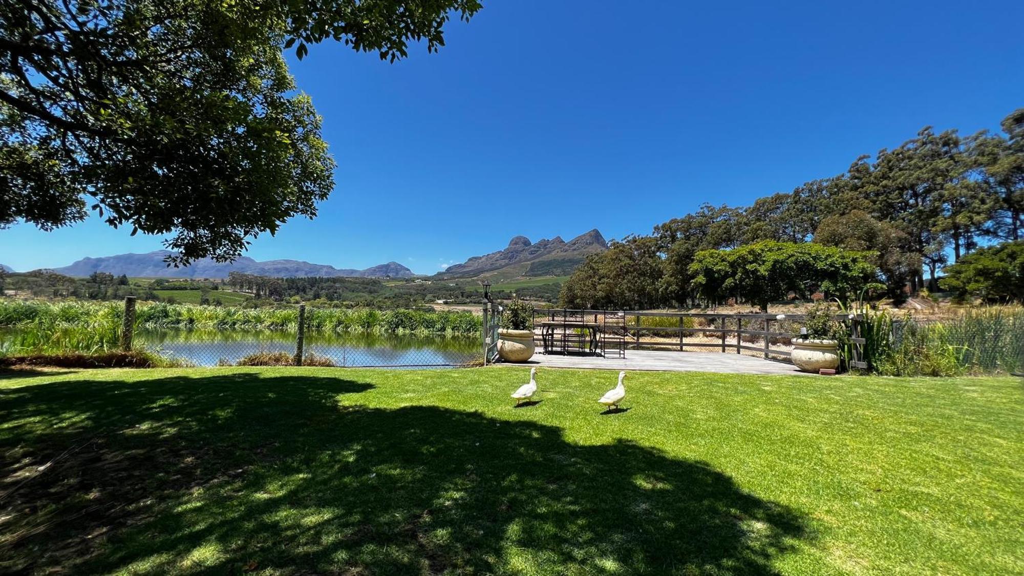 In The Vine Country Manor Guesthouse Stellenbosch Exterior foto