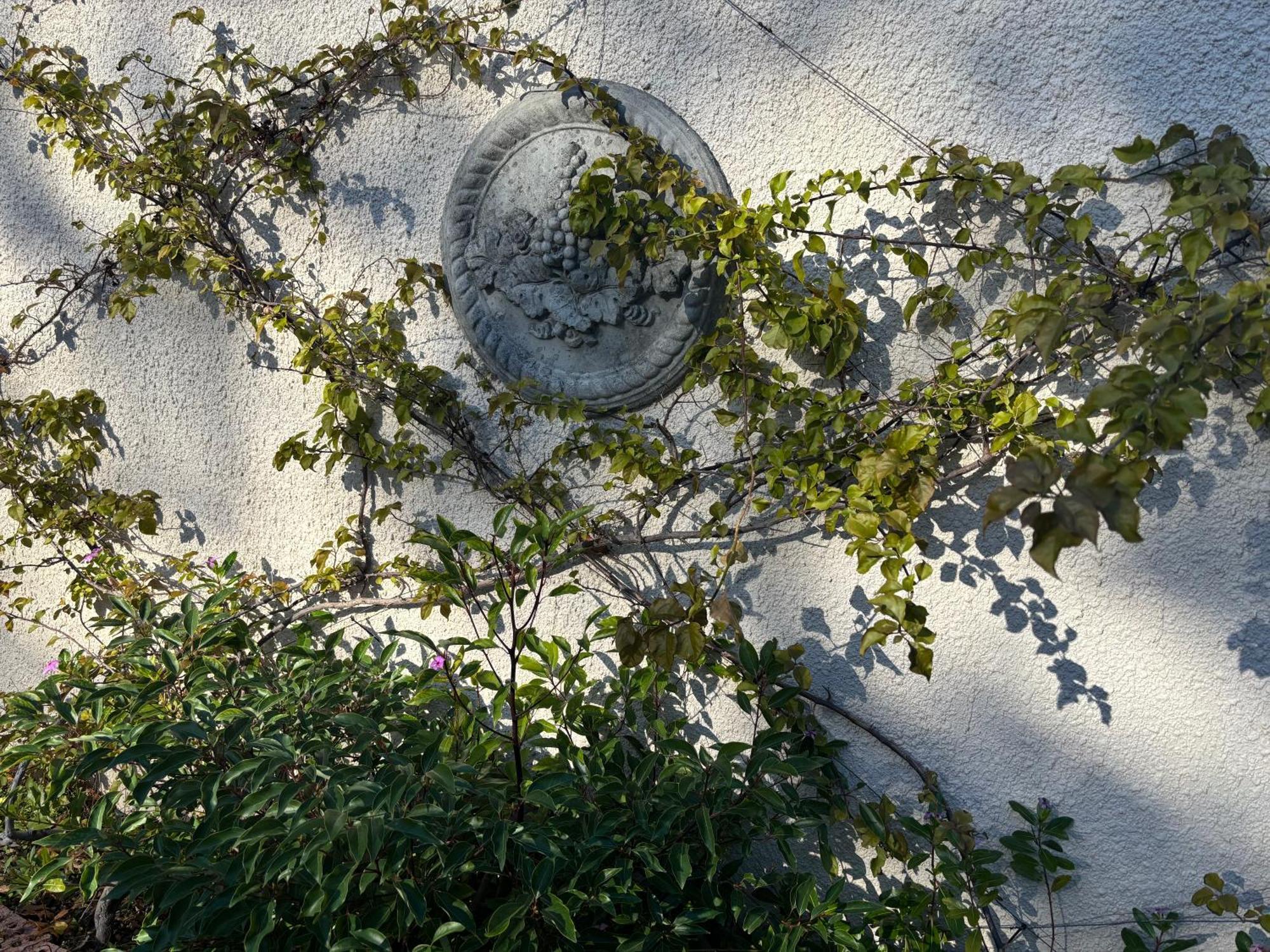 In The Vine Country Manor Guesthouse Stellenbosch Exterior foto